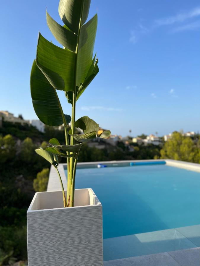 Dmg Dénia